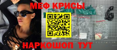 бошки Кингисепп