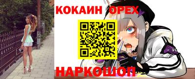 бошки Кингисепп