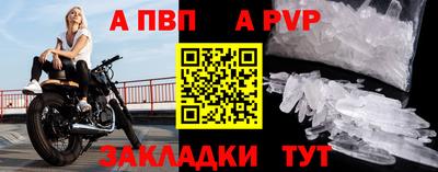 бошки Кингисепп