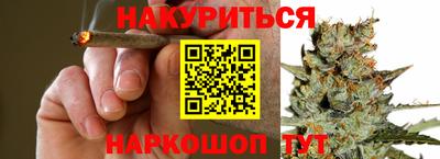 бошки Кингисепп