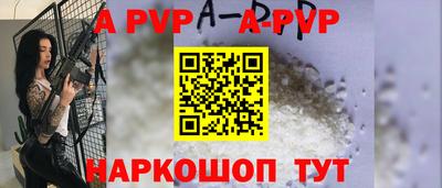 бошки Кингисепп