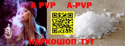 бошки Кингисепп