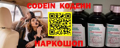 бошки Кингисепп