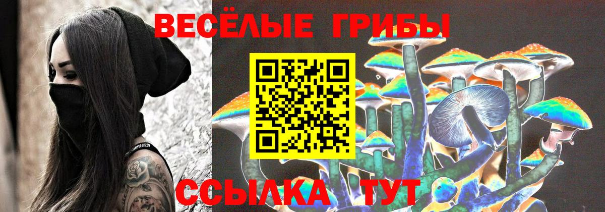 Кохма  купить закладку  Вход с VPN  Псилоцибиновые грибы прущие грибы 
